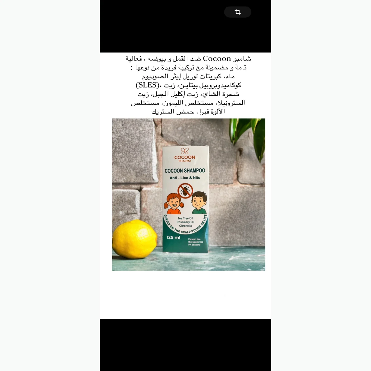 Cocoon Shampoo Anti Lice & Nits